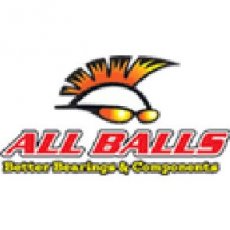 All balls Oil Seal 40x58x6mm ALL BALLS OIL SEAL 40X58X6MM